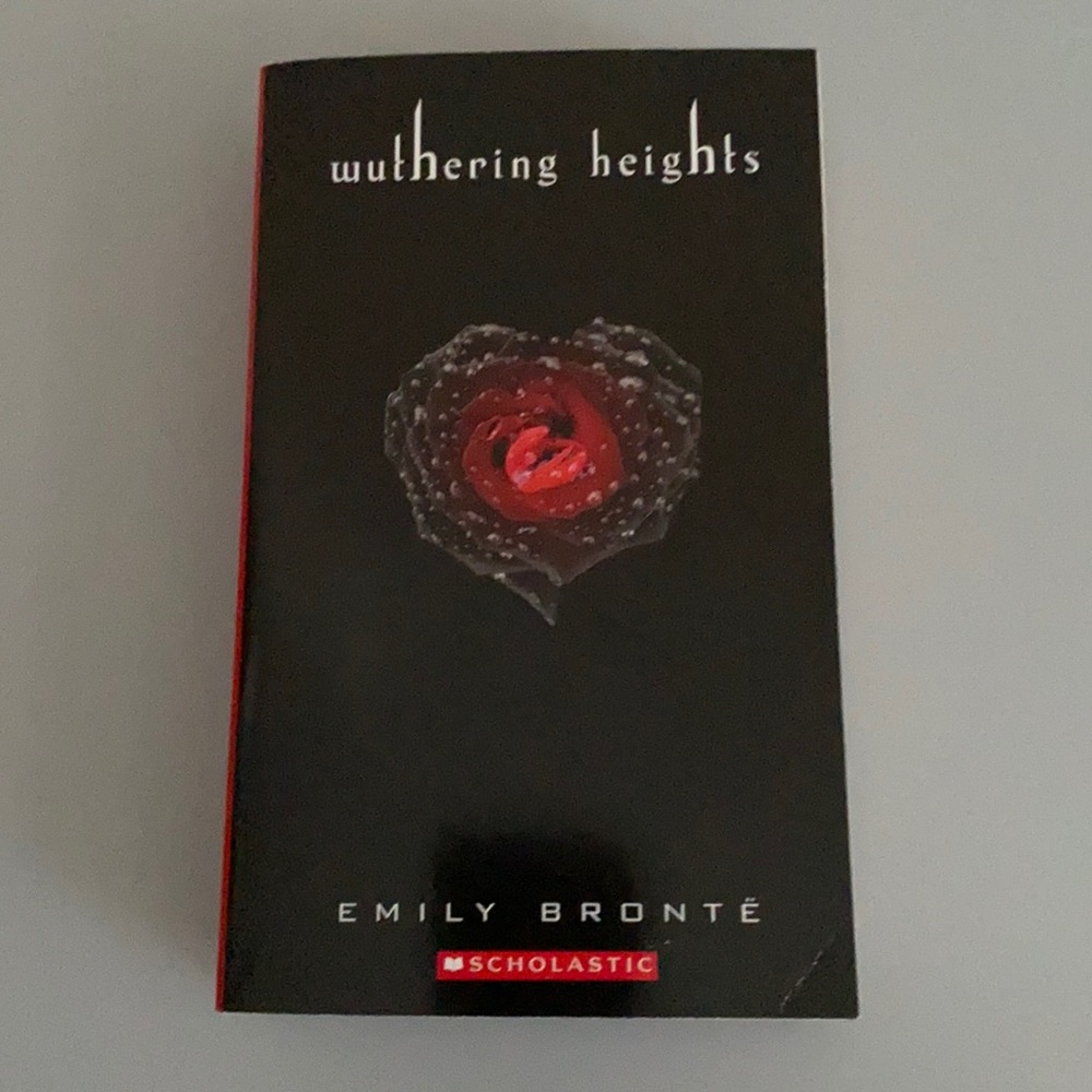 Wuthering Heights Paperback Chapter book